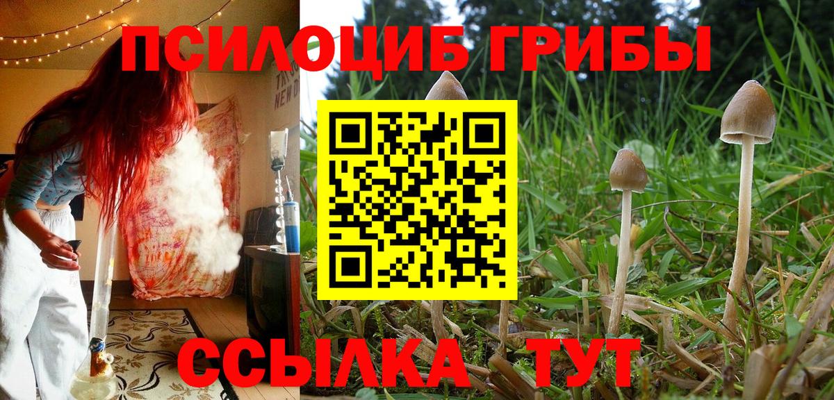 Кропоткин  Галлюциногенные грибы мицелий  Вход с VPN 