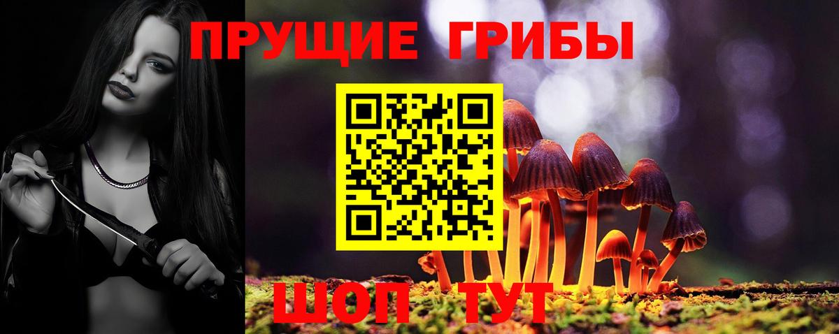 Псилоцибиновые грибы прущие грибы Кропоткин